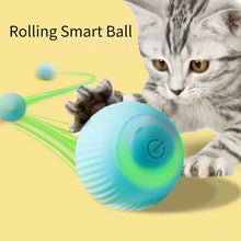 Load image into Gallery viewer, Cat Toy Interactive™ - Electric Cat Rolling Ball - Cat Toy Interactive
