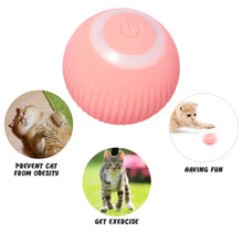 Load image into Gallery viewer, Cat Toy Interactive™ - Electric Cat Rolling Ball - Cat Toy Interactive
