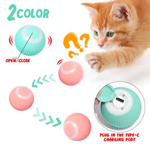 Load image into Gallery viewer, Cat Toy Interactive™ - Electric Cat Rolling Ball - Cat Toy Interactive
